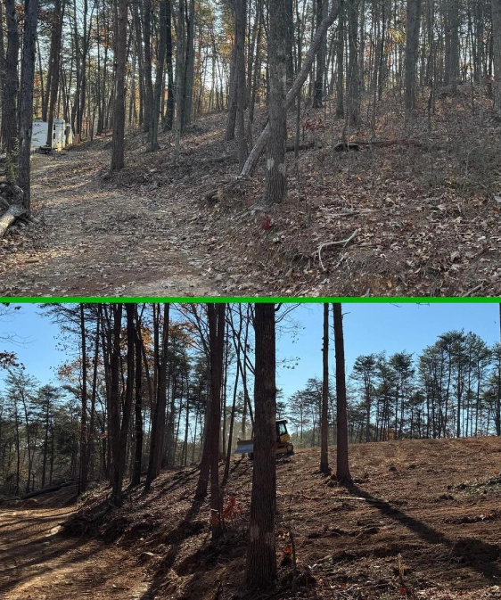 Land Clearing & Forestry Mulching