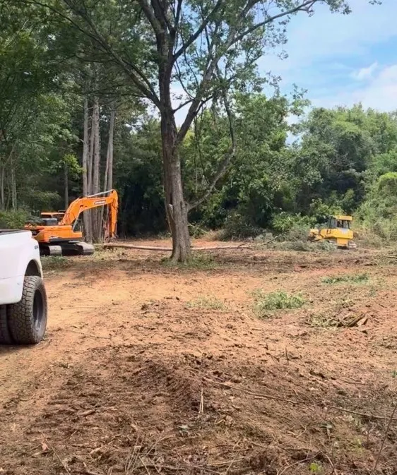 Land Clearing & Forestry Mulching